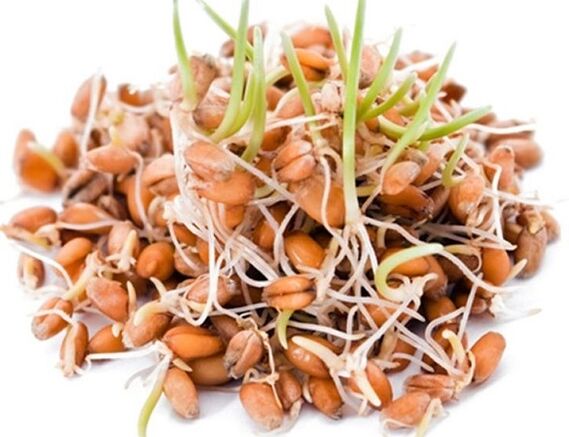 Clean Forte ngandung sprouted séréal gandum, oats jeung jagong