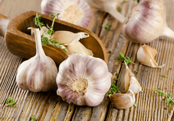 Bawang bodas ti cacing