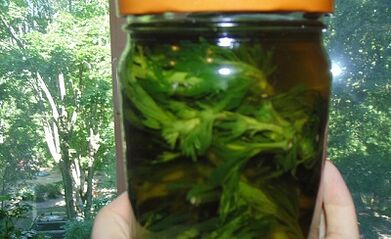 Tincture herbal pikeun miceun parasit tina awak