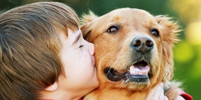 budak kisses anjing jeung meunang kainfeksi parasit